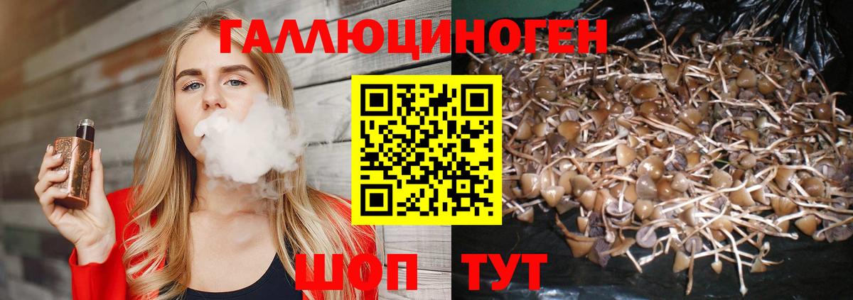 Галлюциногенные грибы GOLDEN TEACHER  купить наркотики цена  Ярцево  Псилоцибиновые грибы прущие грибы  Вход с VPN 