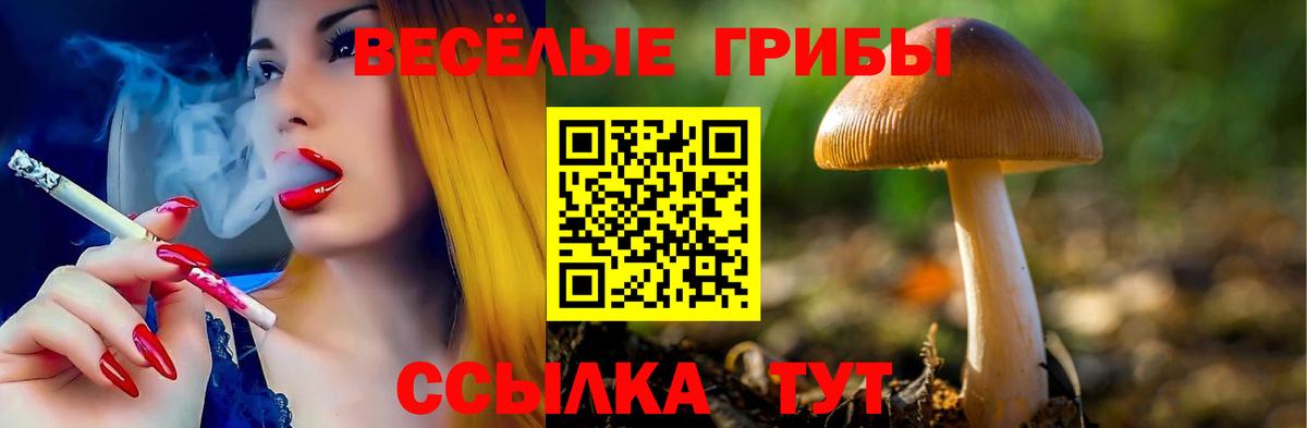 Псилоцибиновые грибы Psilocybine cubensis Ярцево